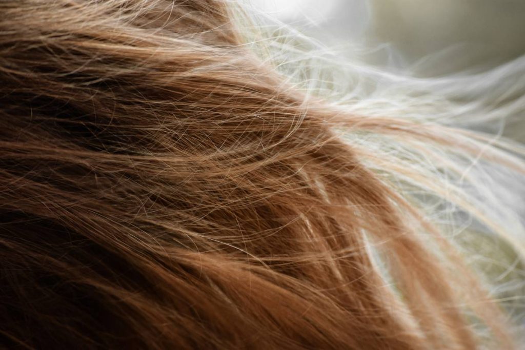 Hydrating Hair Care: The Overlooked Truth About Conditioners That Actually Work