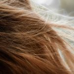 Hydrating Hair Care: The Overlooked Truth About Conditioners That Actually Work